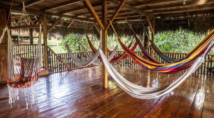 Caiman Lodge - Cuyabeno Nature Amazon Tour Kültér fotó