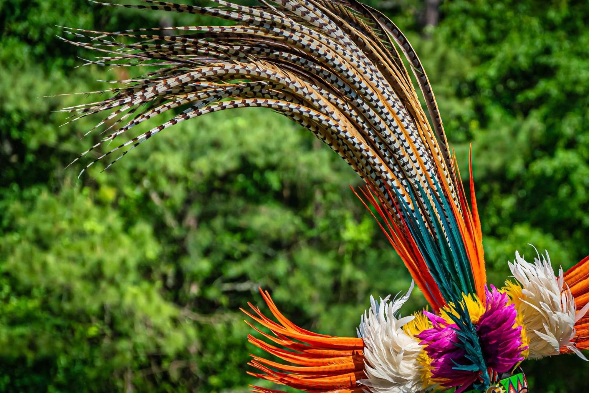 Caiman Lodge - Cuyabeno Nature Amazon Tour Kültér fotó