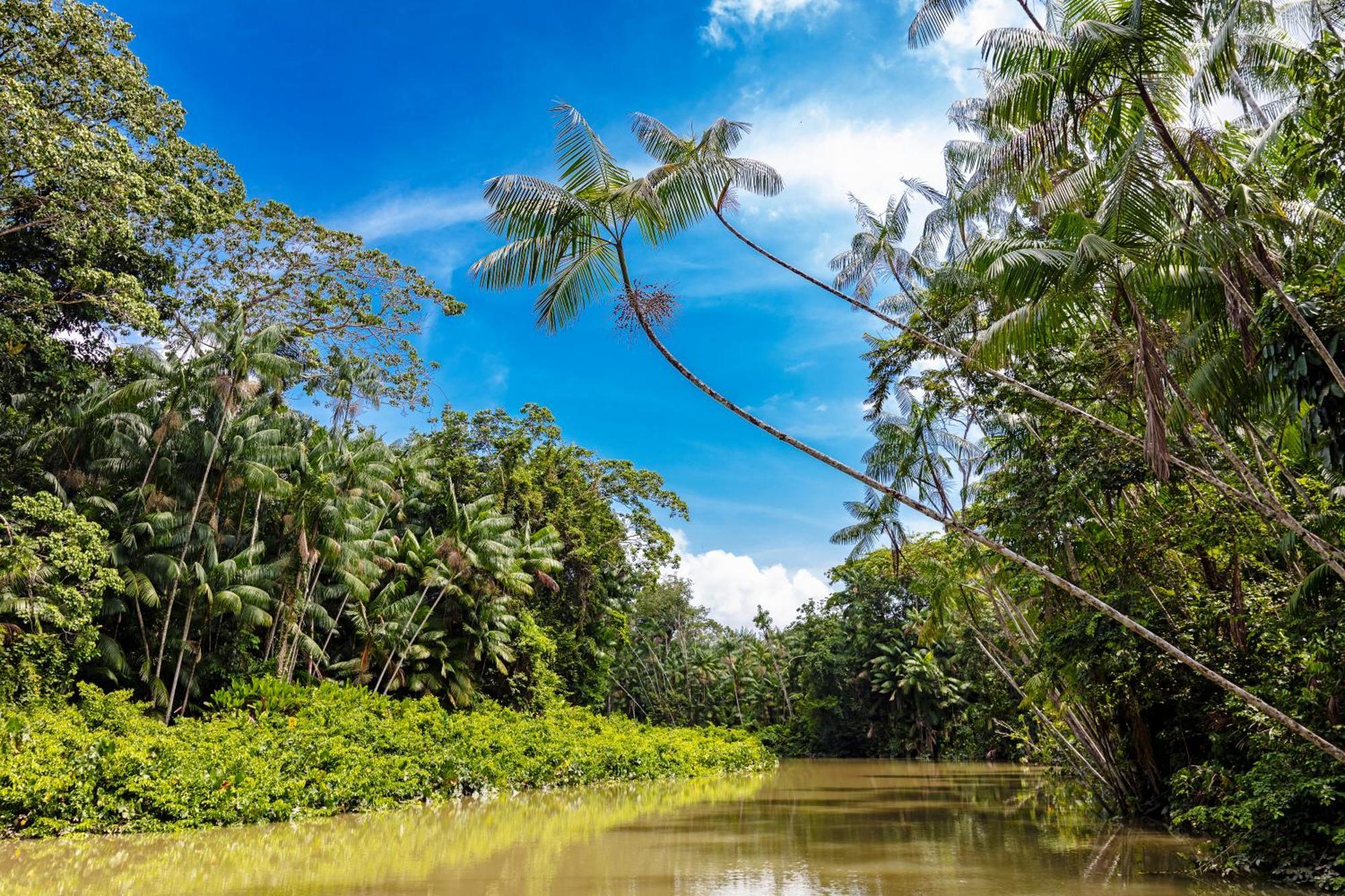 Caiman Lodge - Cuyabeno Nature Amazon Tour Kültér fotó